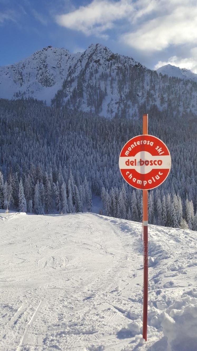 Residence Les Coupoles Champoluc Dış mekan fotoğraf